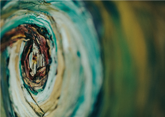 How To Remove Mold From A Fine Art Canvas