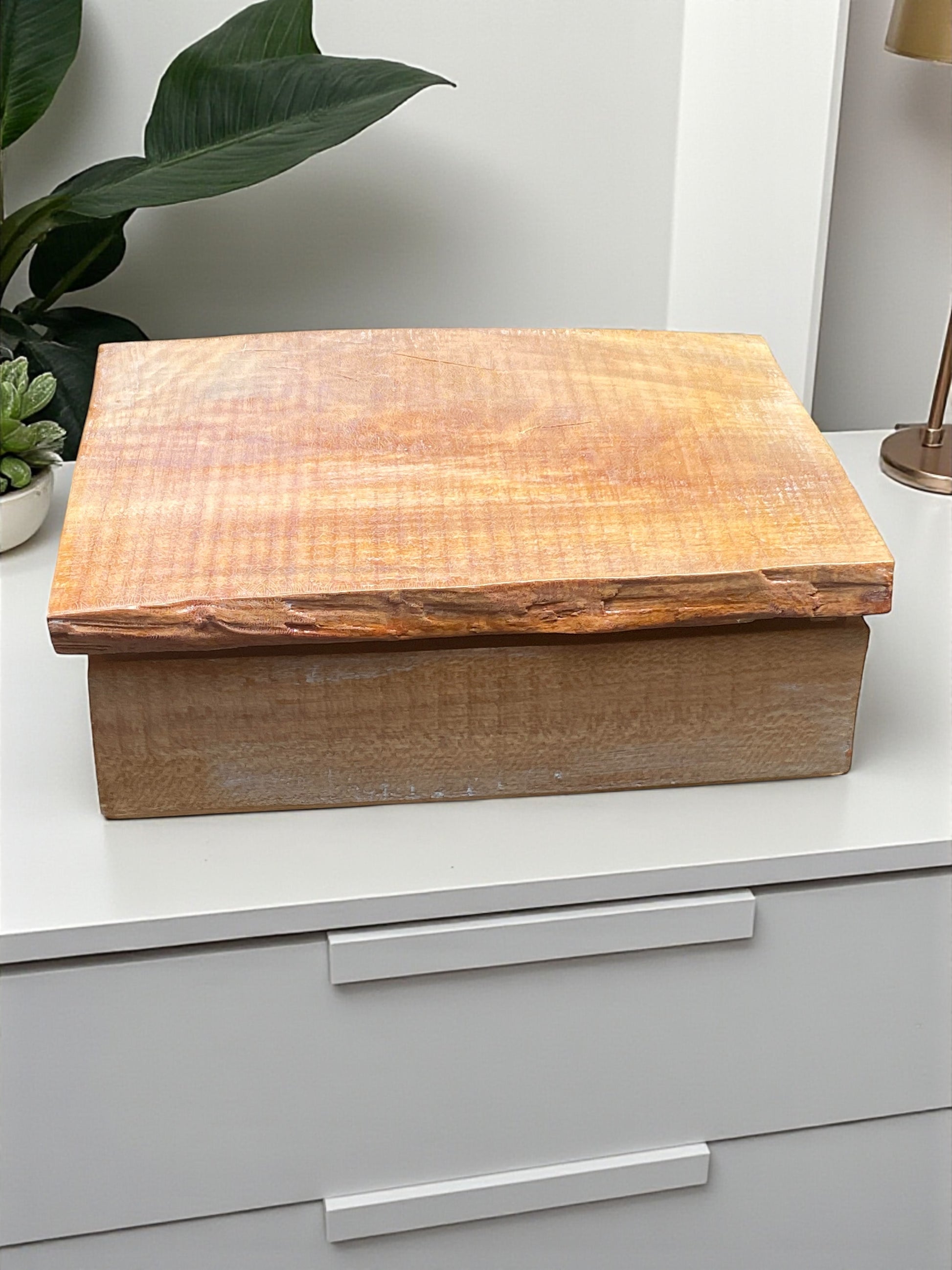Wooden box with a lid on a white surface next to a plant